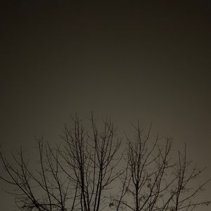 Meet your Posher, Zion